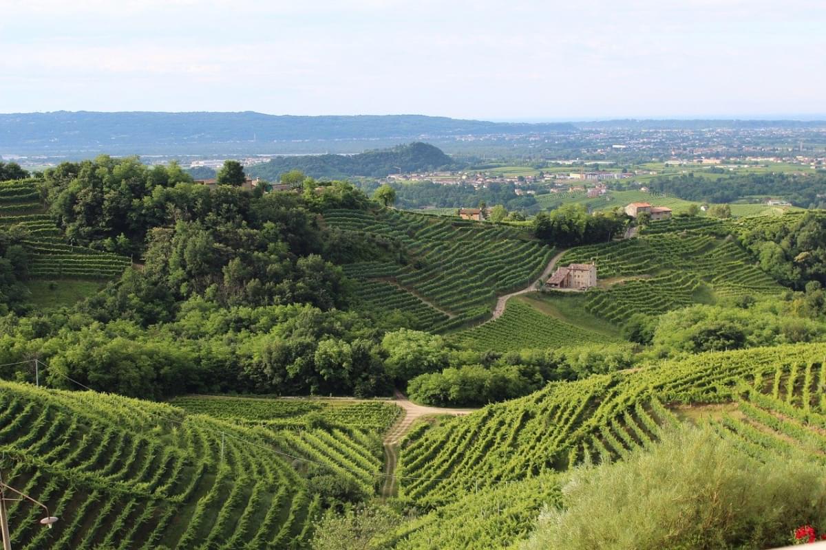 italia treviso colline veneto vino 1