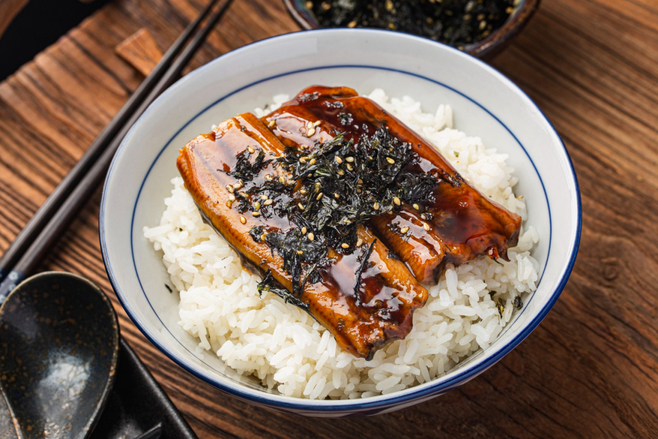 japanese eel grilled with rice bowl unagi don japanese food style