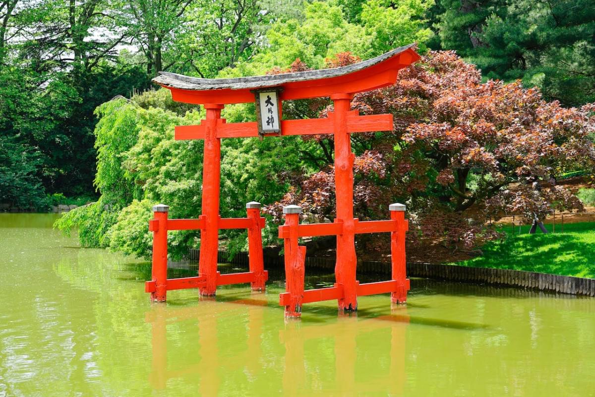 japanese garden with a tori gate in brooklyn