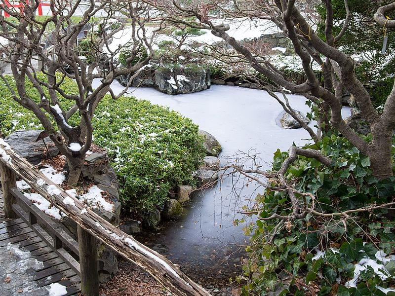 japanese hill