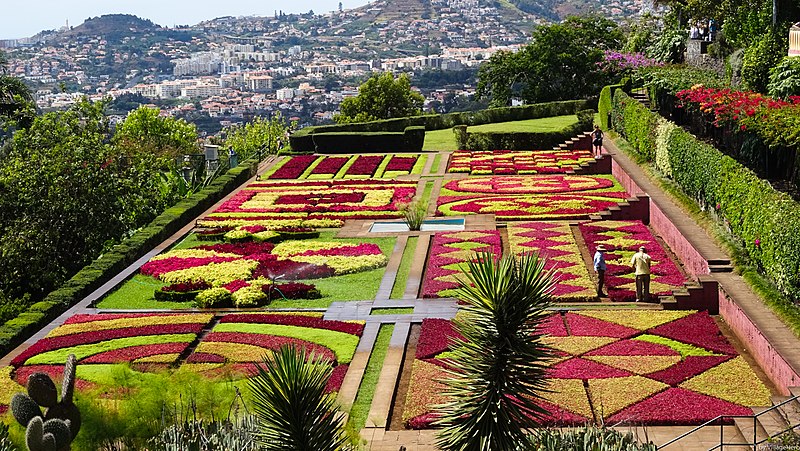 jardim botanico 2 funchal