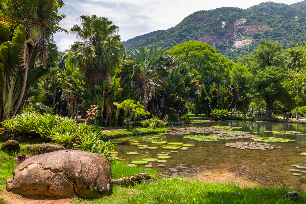 jardim botanico botanic gardens rio de janeiro brazil