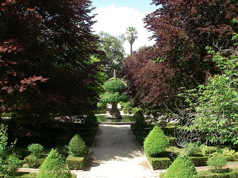 jardim botanico da universidade de coimbra