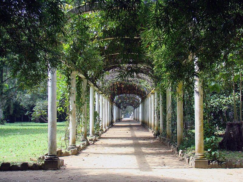 jardim botanico do rio de janeiro