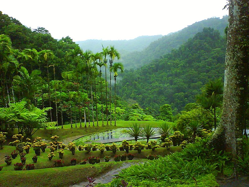 jardin balata martinica