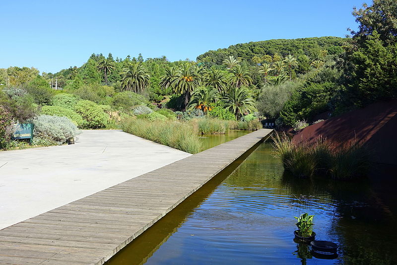 jardin botanico de barcelona barcelona