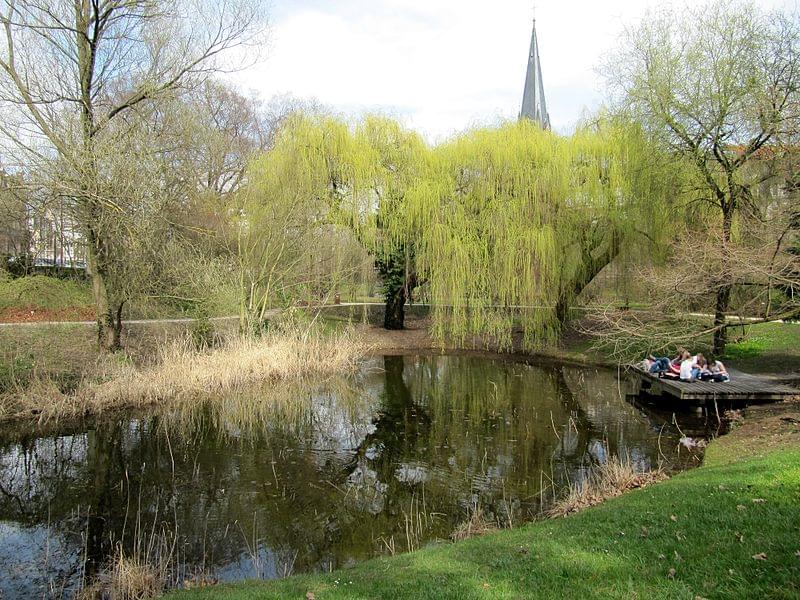 jardin botanique de strasbourg etang