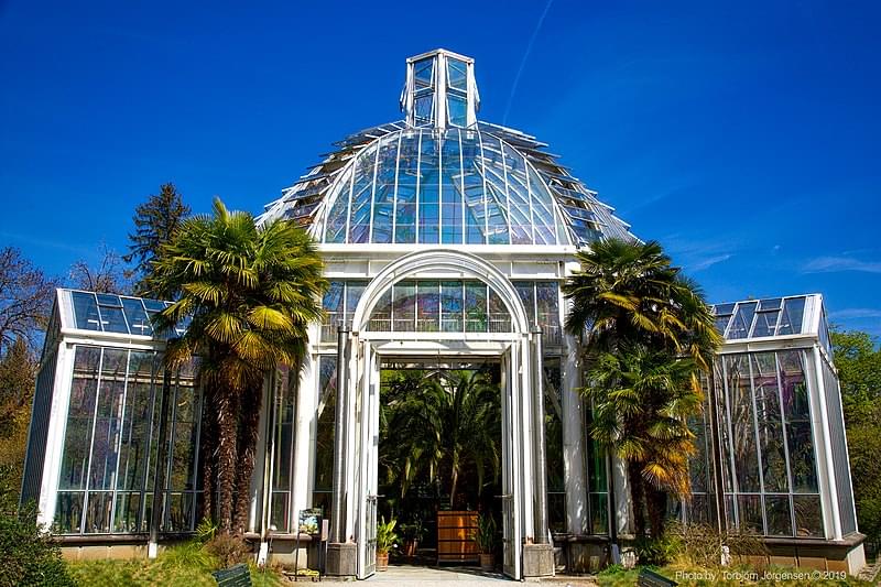 jardin botaniques de la ville de geneve