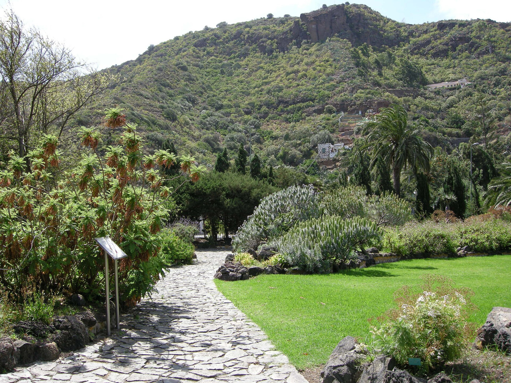 el jardin botanico viera y clavijo jardin canario en las palmas de gran canaria