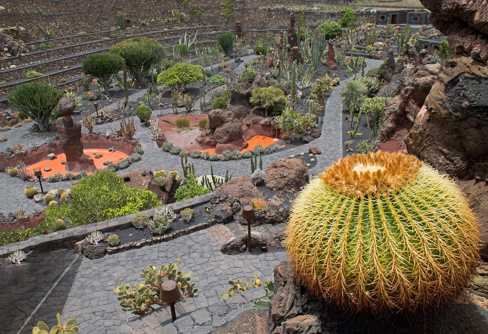 Collezione di cactus nel Cactus Garden, attrazione verde a Lanzarote