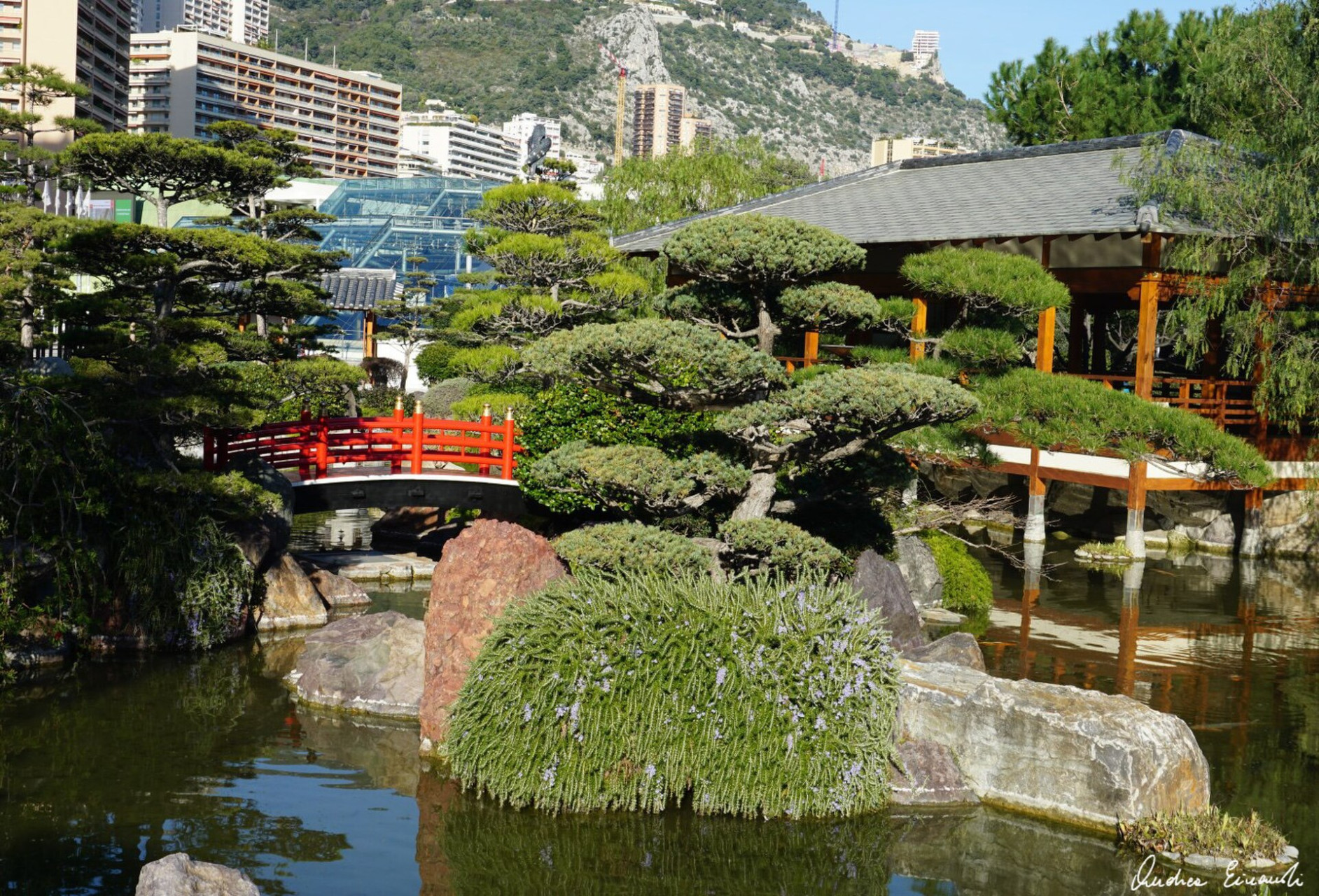 jardinjaponais3