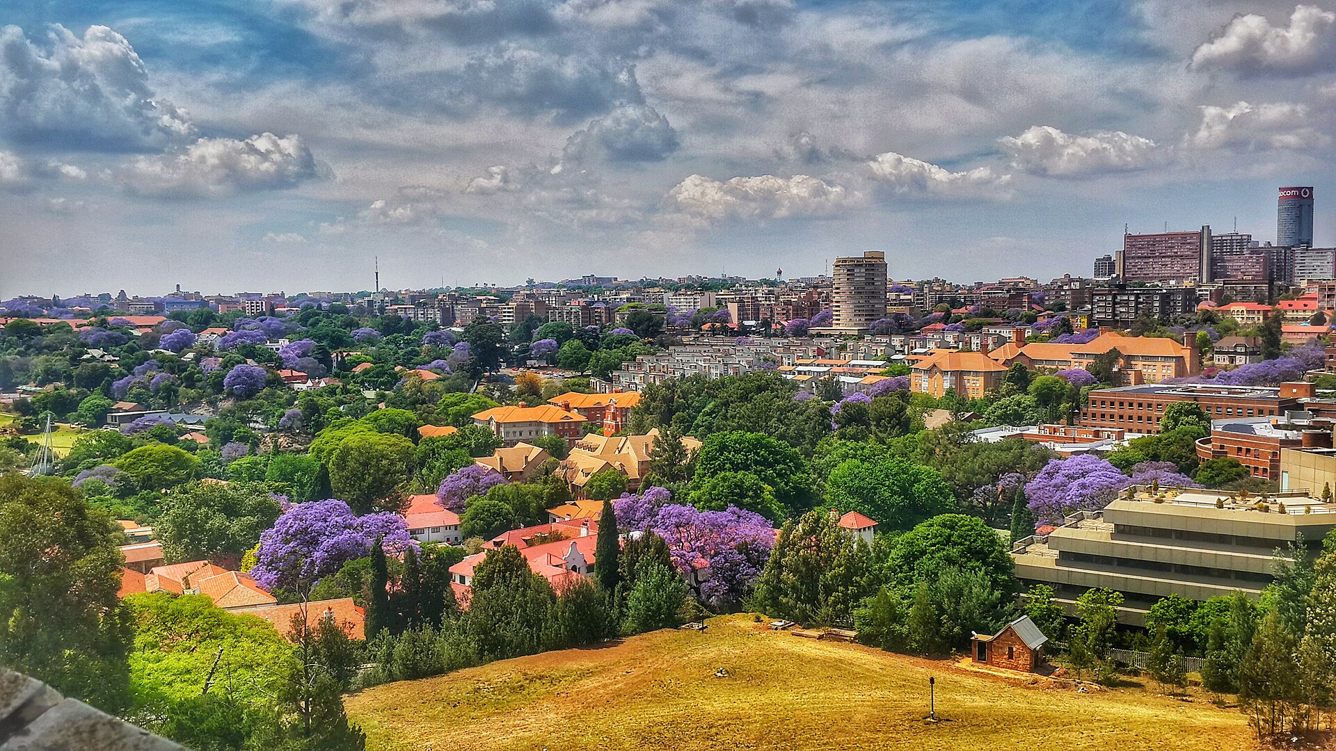 jozi sjacaranda johannesburgfromwitsoffice