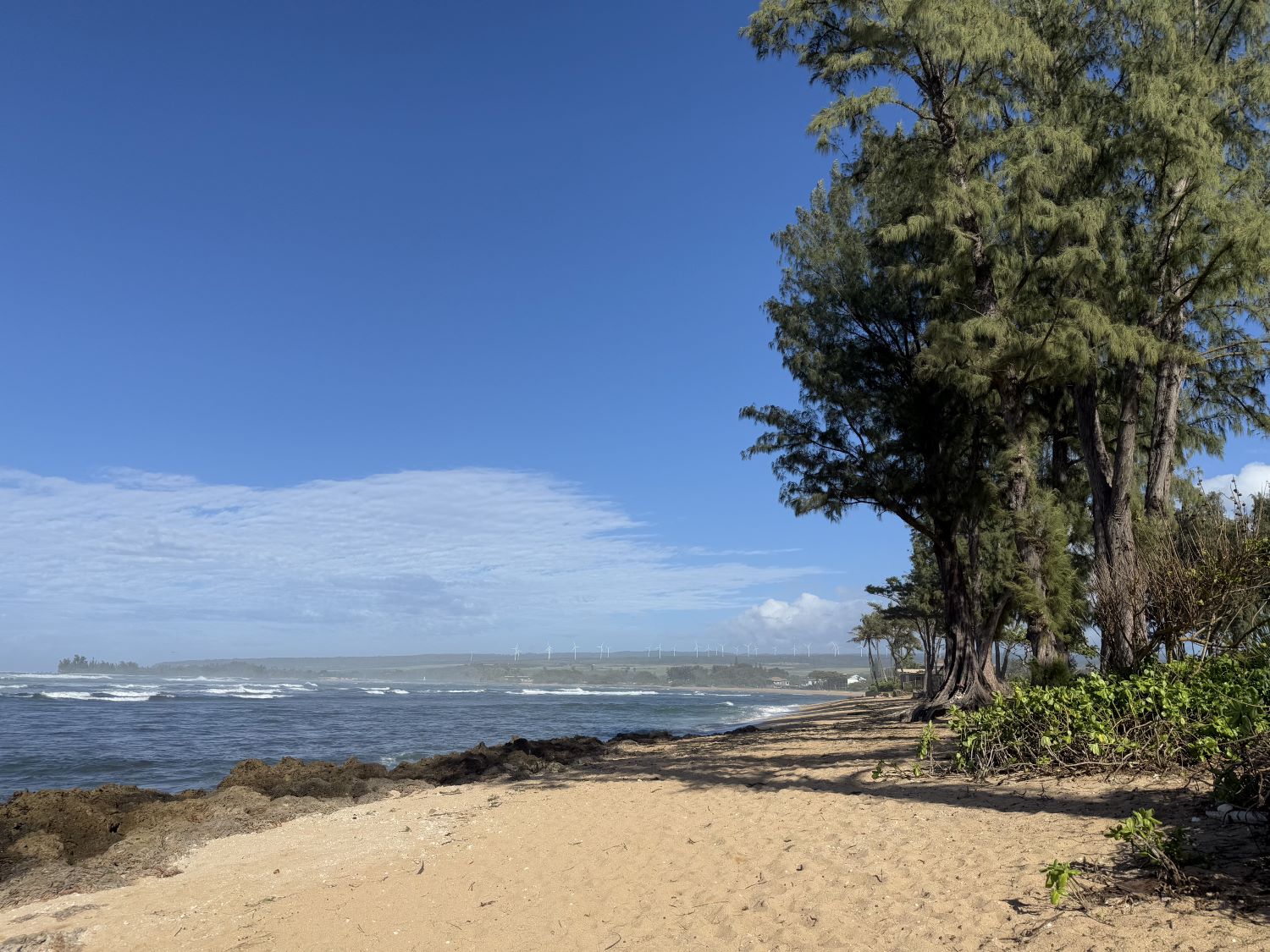 kaiaka bay