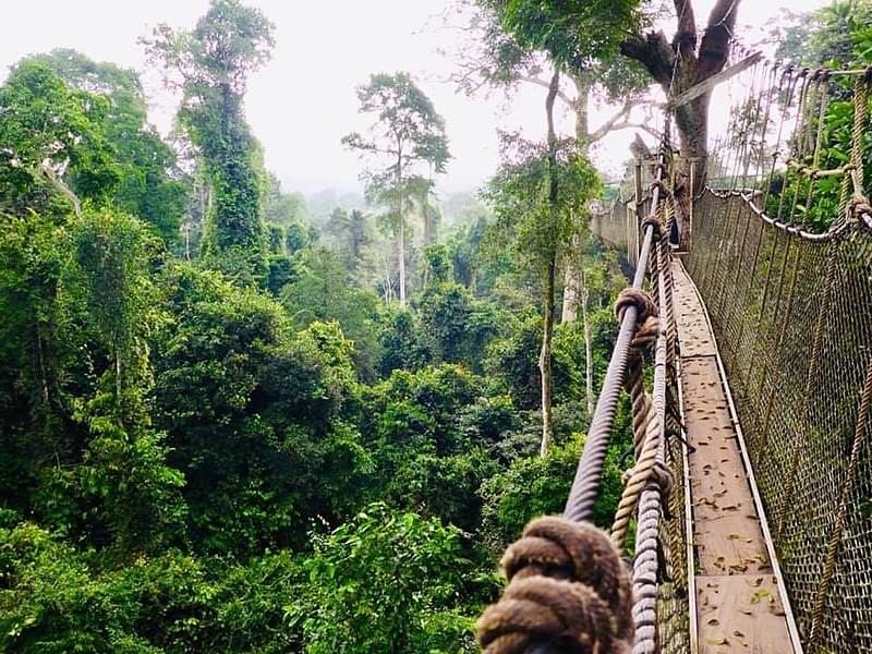 kakum national park 1