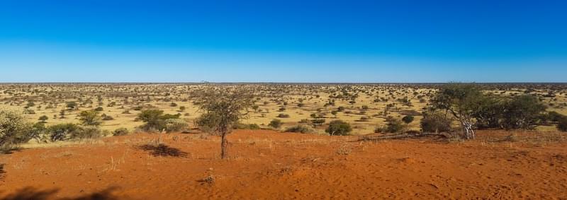 8 - Kalahari: 520.000 km²