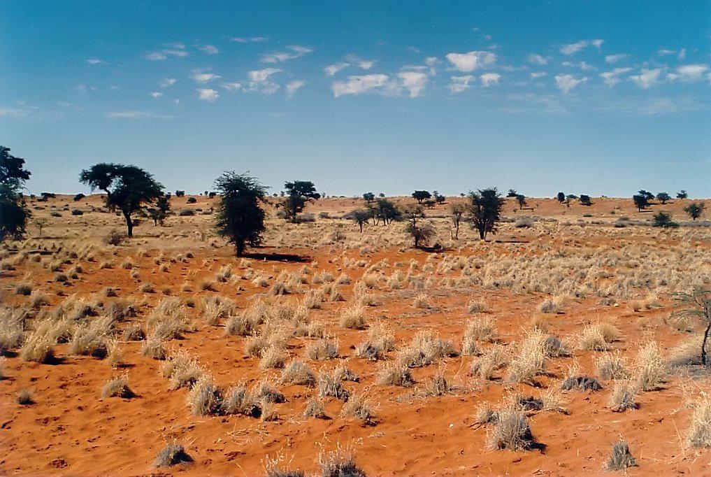 kalahari_botswana