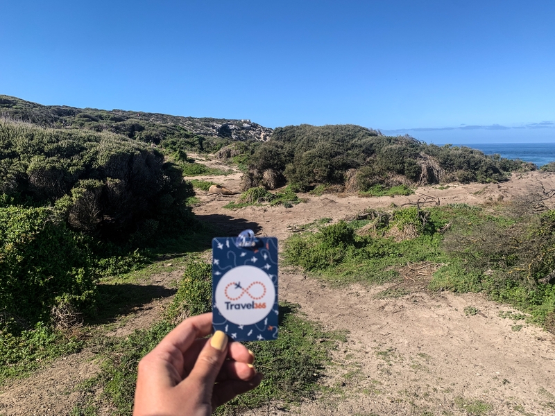 kangaroo island 1