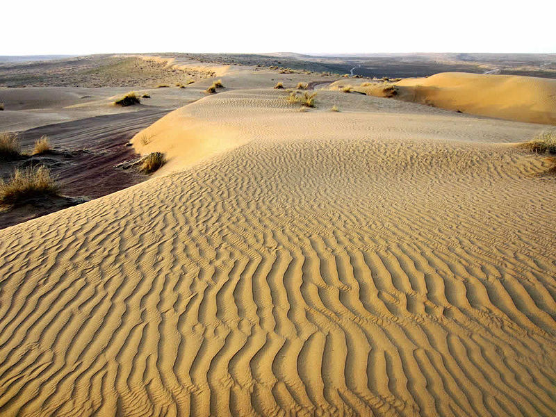 13 - Deserto del Karakum: 350.000 km²