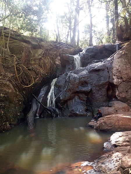 karura forest