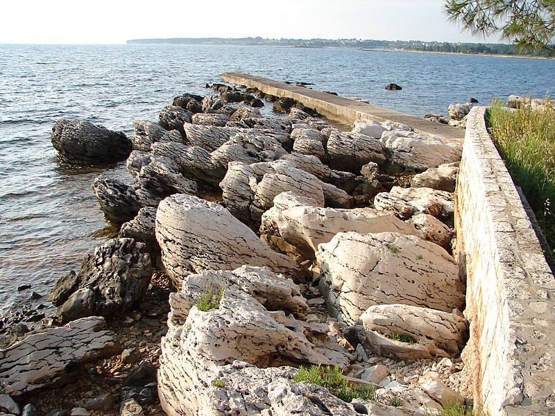 katoro umag beach panoramio 1