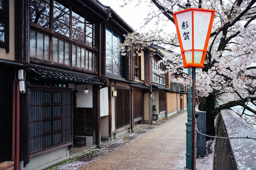kazue machi