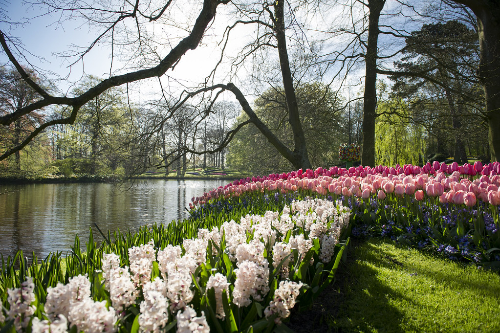 keukenhof garden lisse netherlands