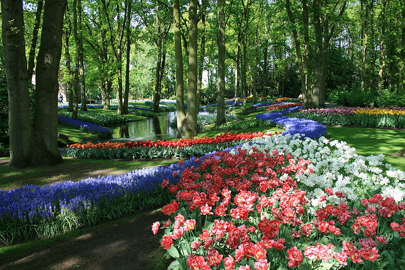 03 keukenhof garden, lisse