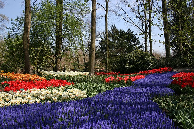 Keukenhof, Lisse (Paesi Bassi)