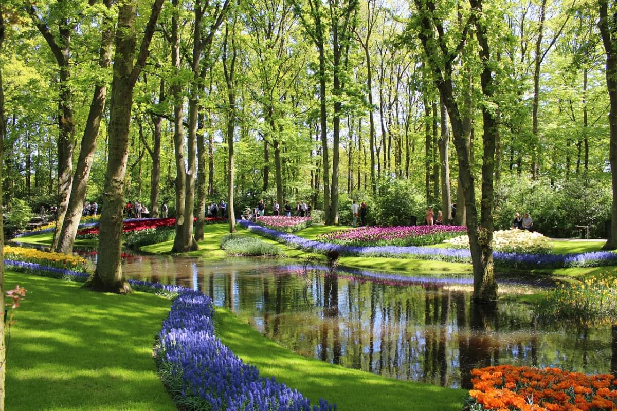 keukenhof parco paesi bassi