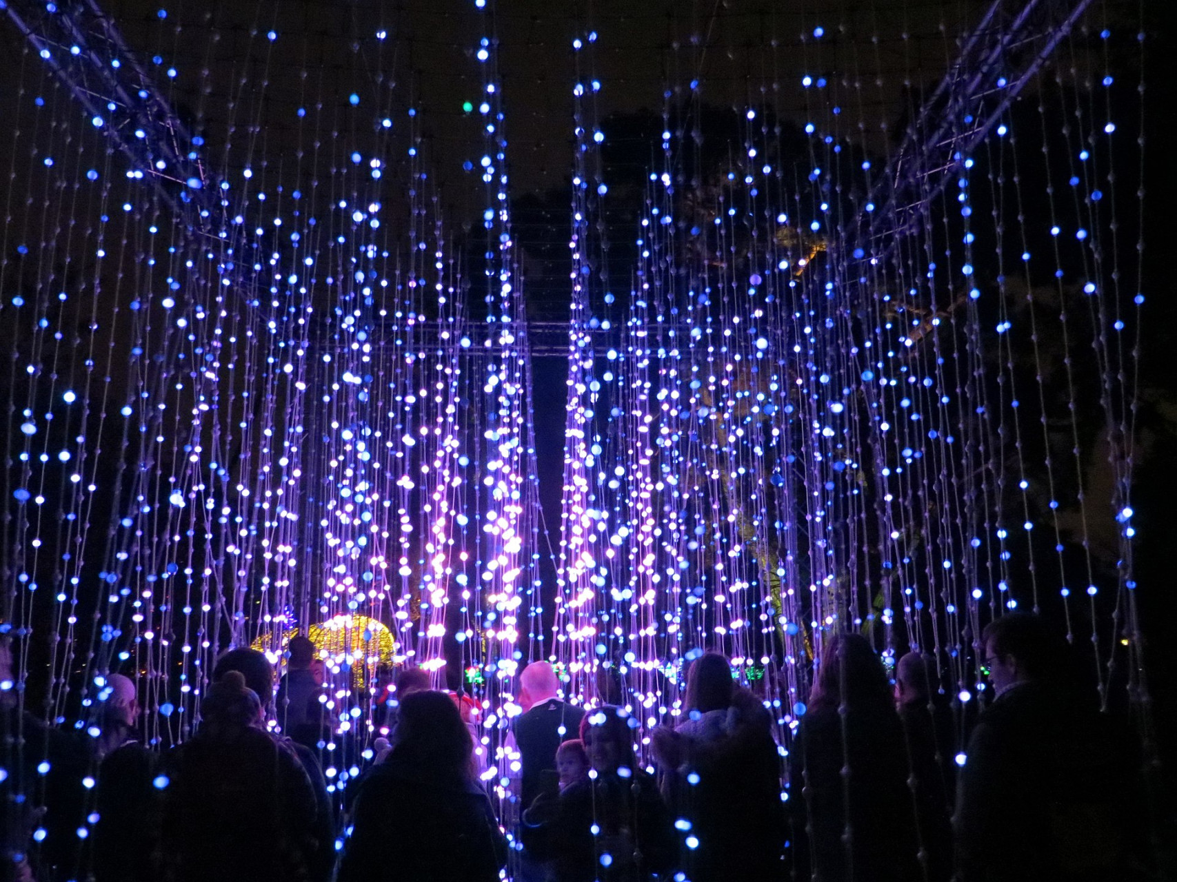 Installazioni luminose Christmas at Kew Gardens, Londra
