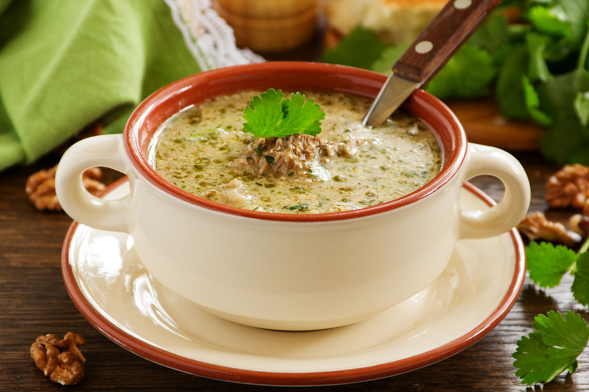kharchosoupofbeefwithwalnutsandrice georgiancuisine 2
