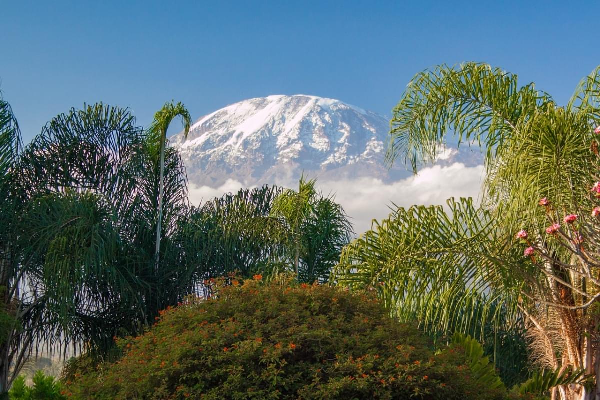 kilimanjaro tanzania