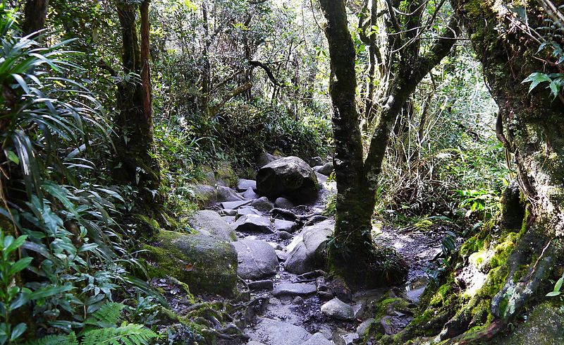 Parco Nazionale di Kinabalu