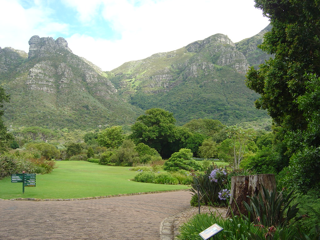kirstenbosch botanical gardens cape town south africa 11