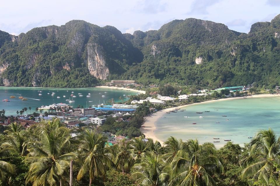 ko phi phi don