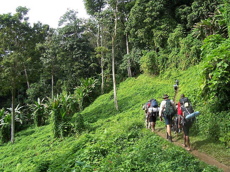 kokoda track papua new guinea 1