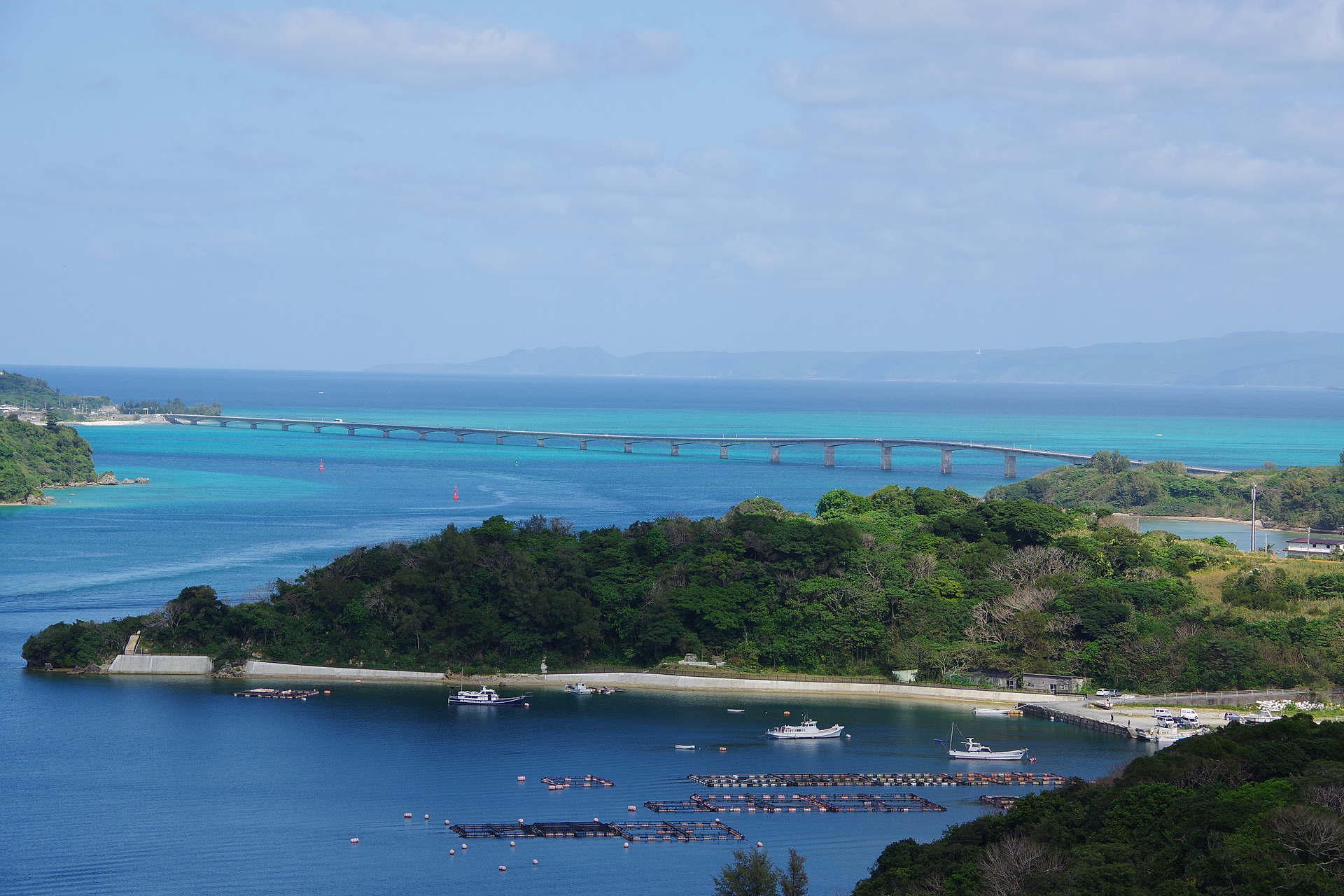 kouribridgeseenfromthedriveinrikarika warumi202302