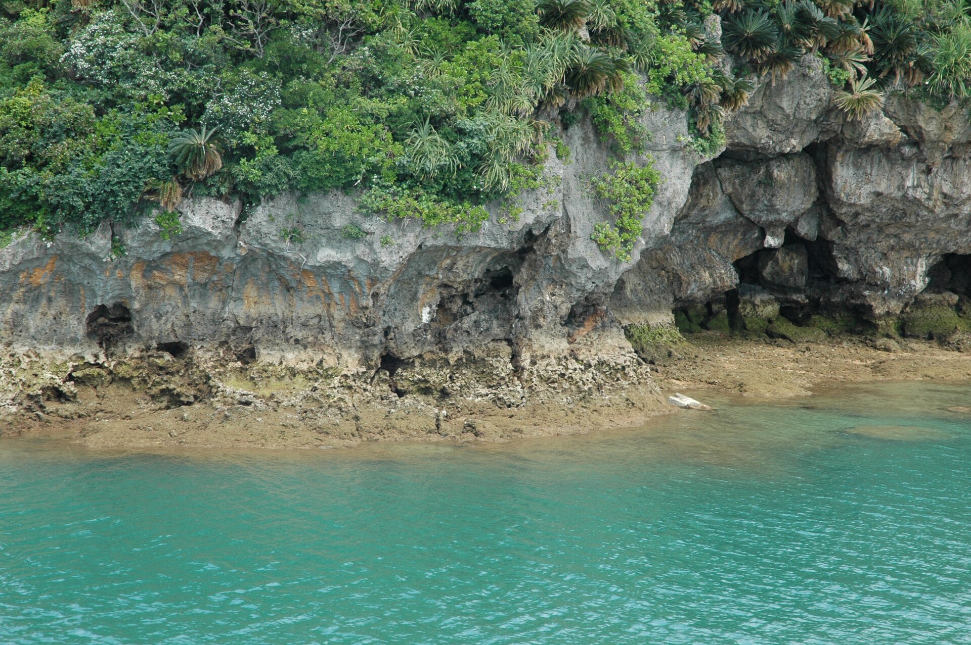 kumeislandcove