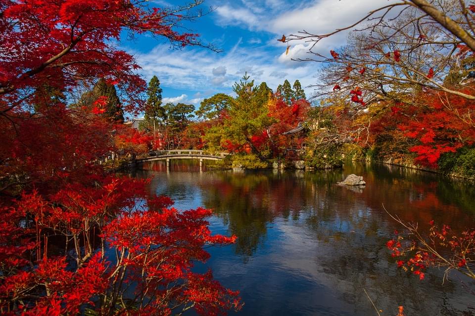 Kyoto, Giappone