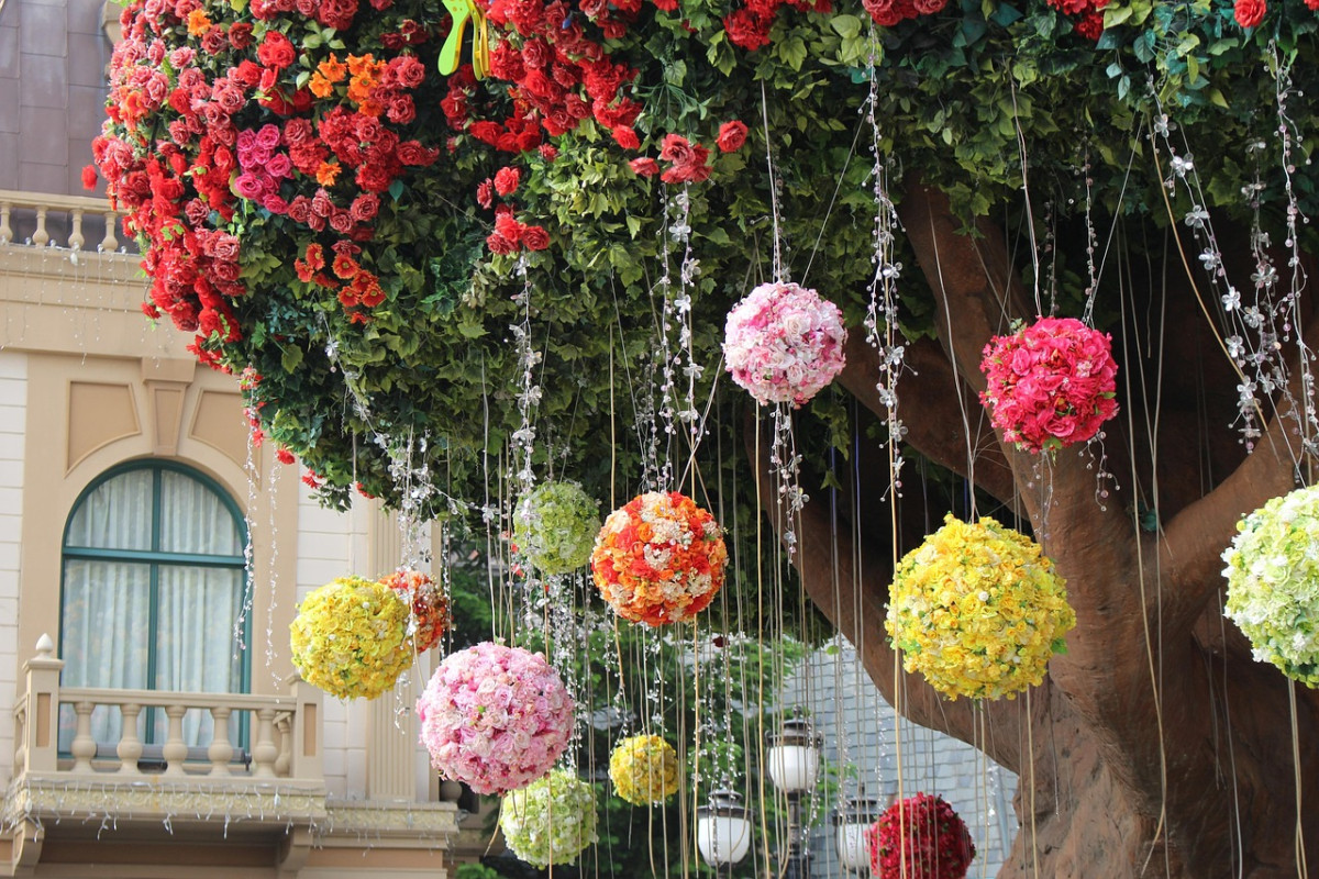 la farfalla albero everland natura 1