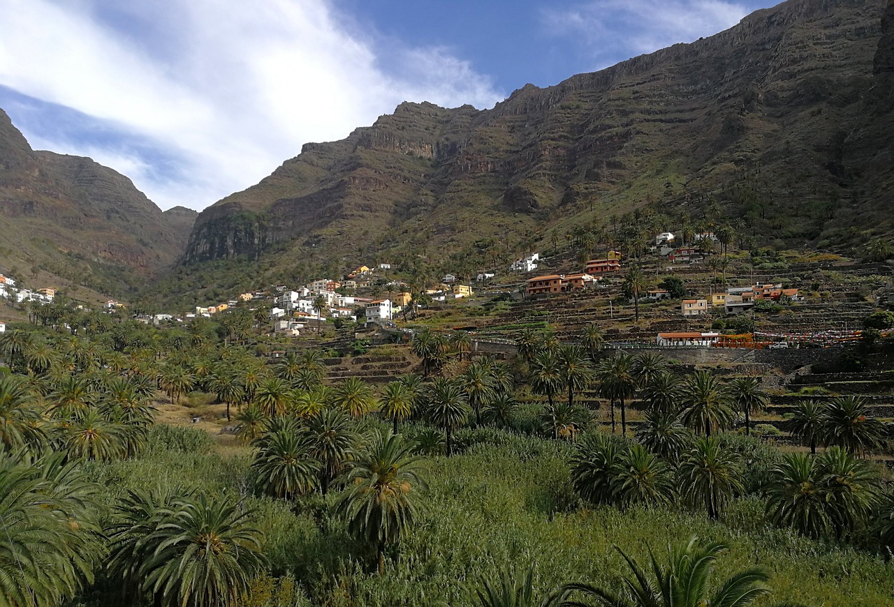 la gomera valle gran rey