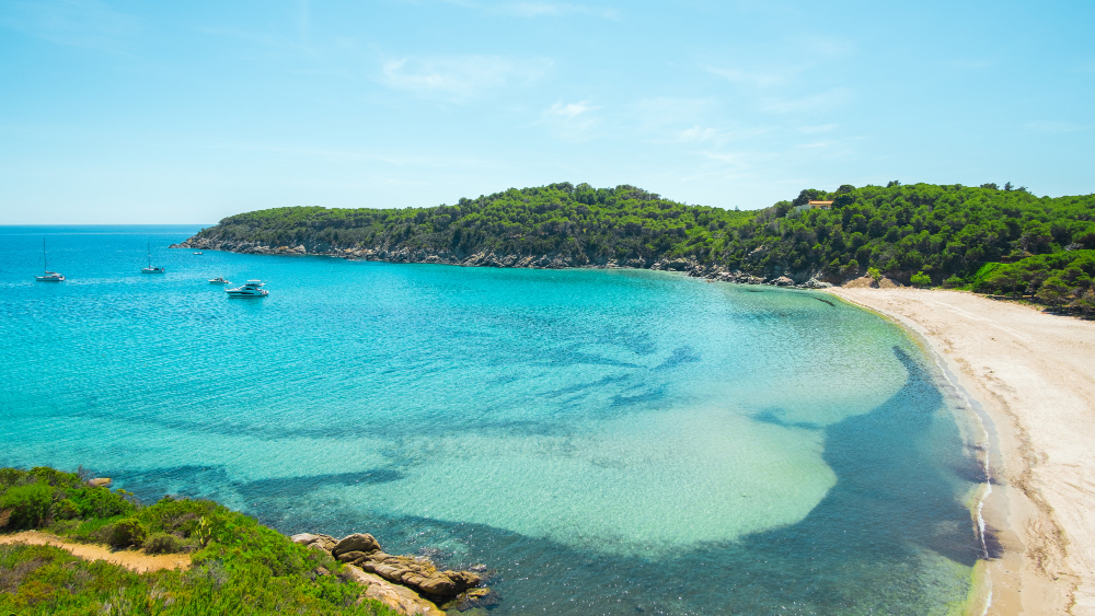 la spiaggia di fetovaia sull isola d elba in italia