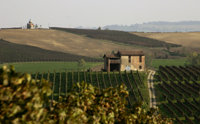 Strada del Vino dei Colli di Candia