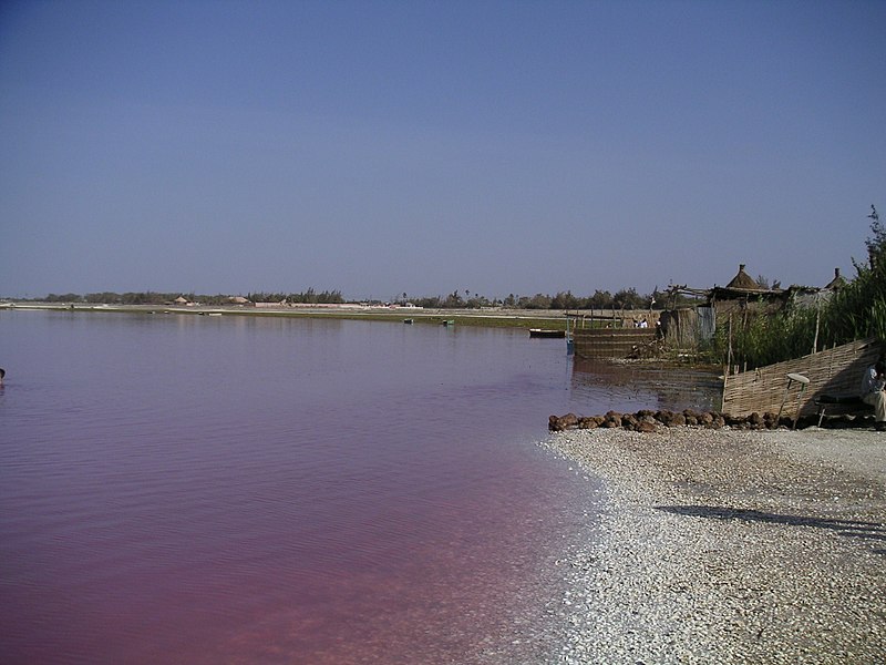 lago rosa