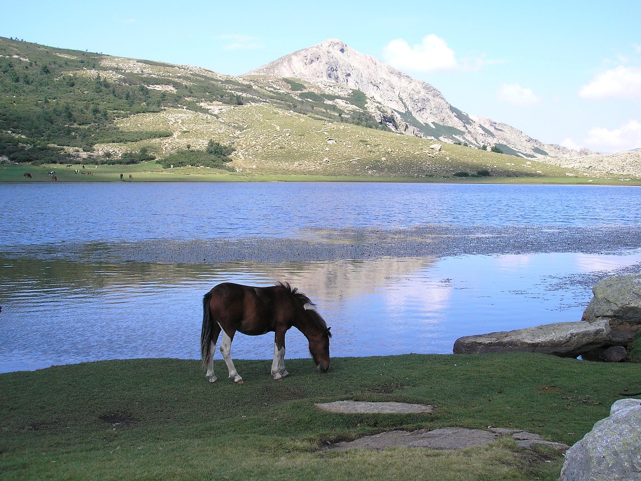 lago corsica montagna lago nino