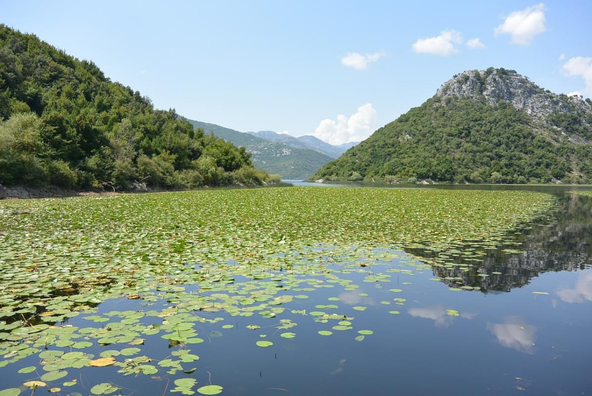 lago di scutari montenegro viaggio