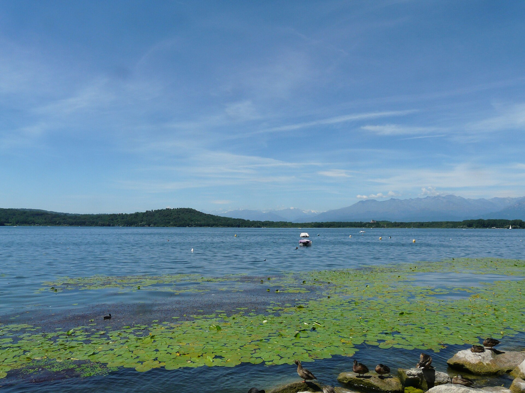 lago di viverone panorama11