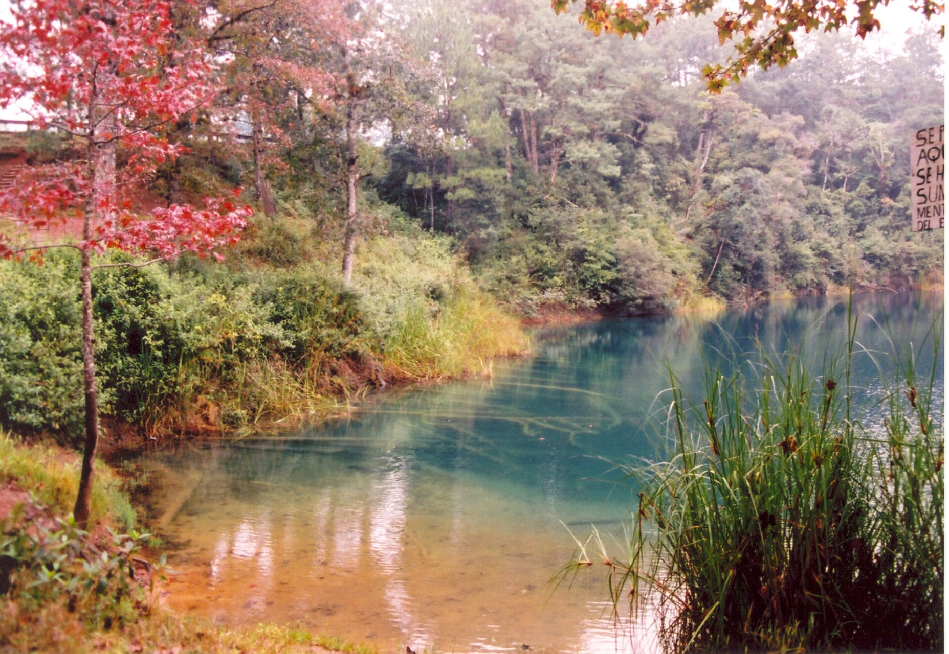 lagosdemontebello mexico panoramio