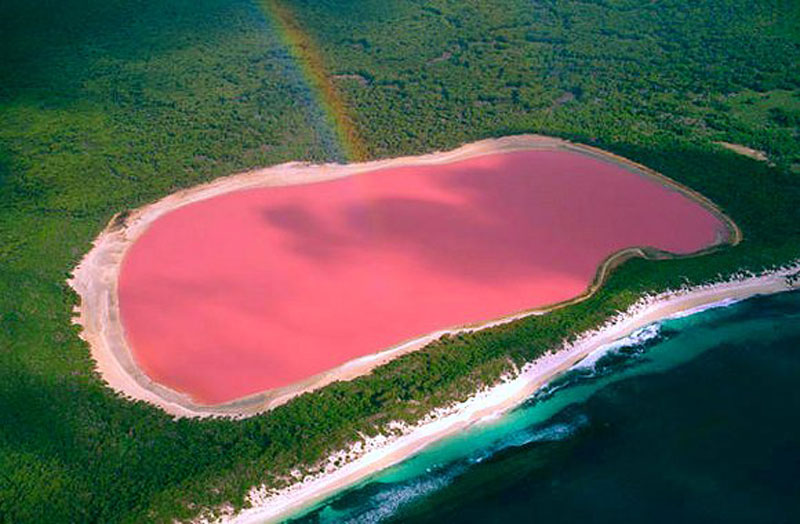 perché Lake Hillier è rosa?