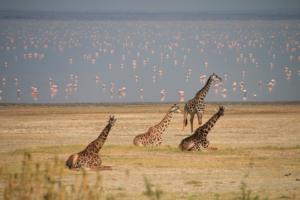 lake manyara